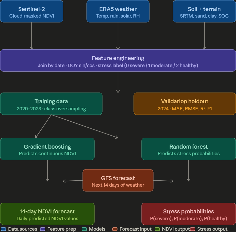 The model pipeline: Sentinel-2, ERA5 weather and soil + terrain feed feature engineering, then gradient-boosting and random-forest models produce a 14-day forecast and stress probabilities