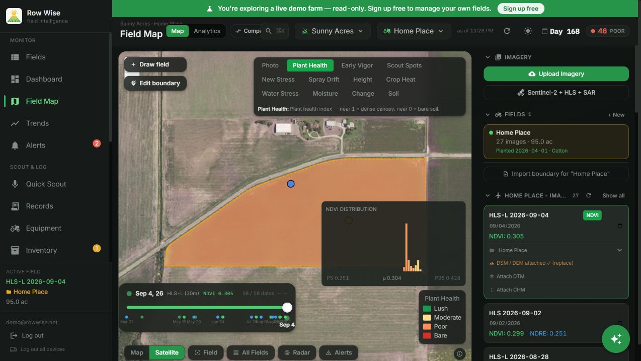 Row Wise field map showing a cotton field colored by plant-health index, with an NDVI distribution and imagery date controls